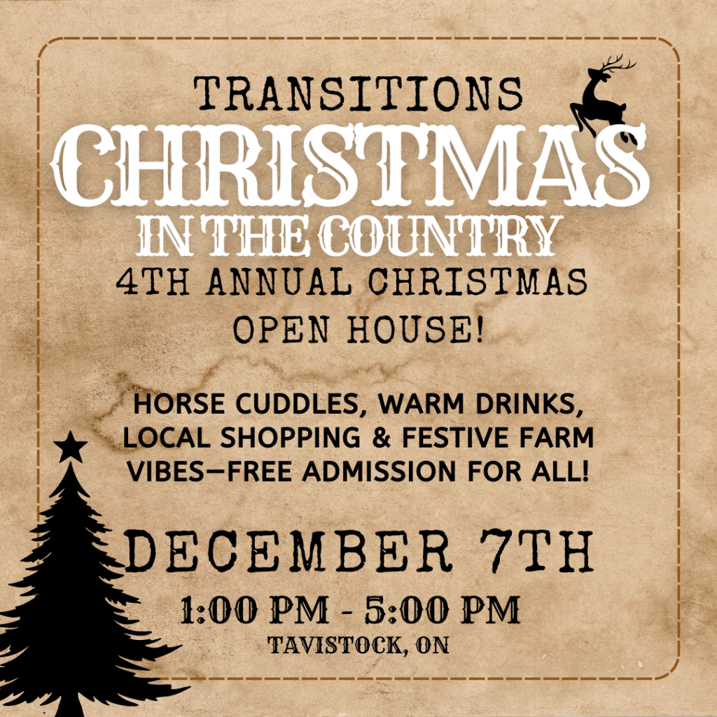 Christmas in the Country- Our 4th Annual Christmas Open House