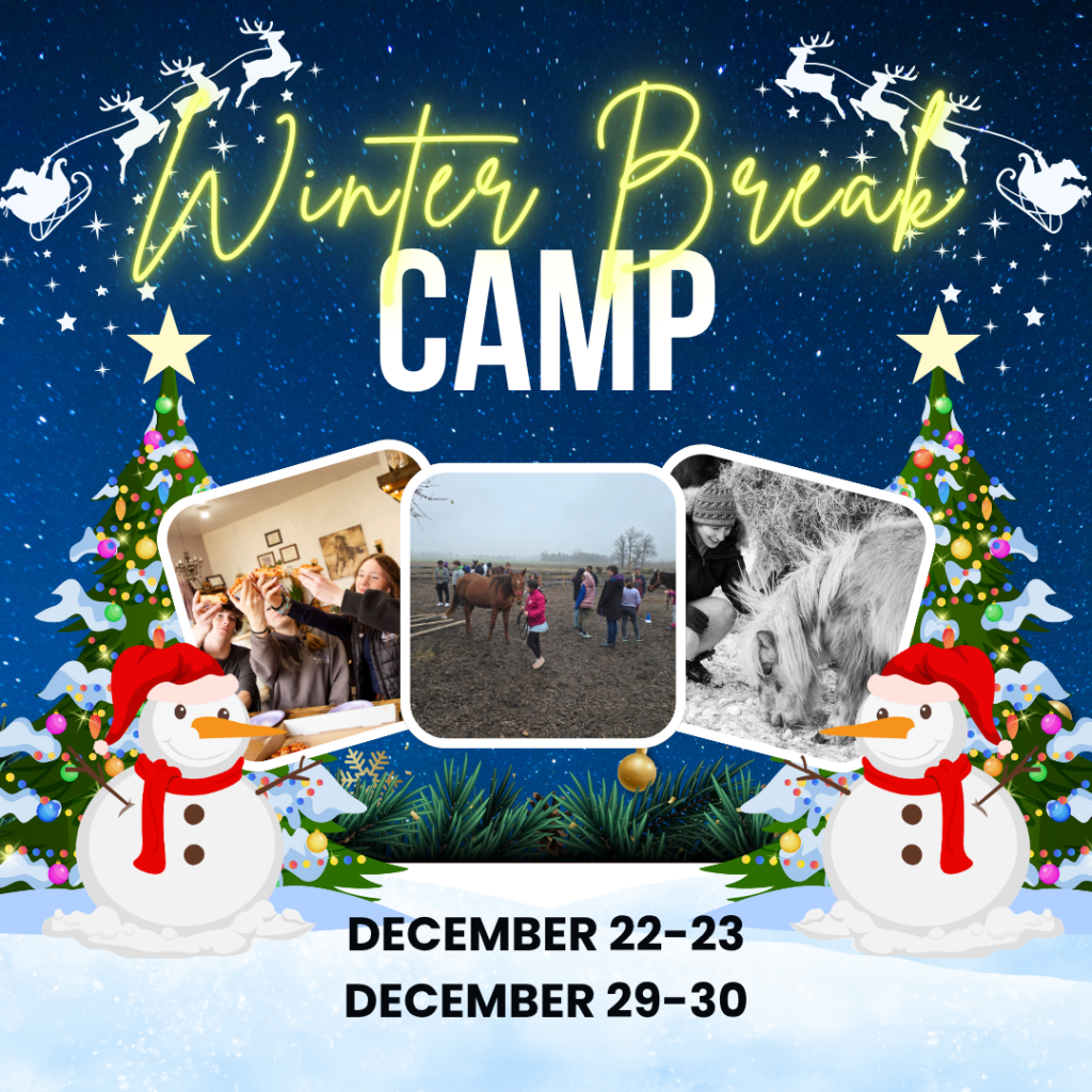 Winter Break Camp