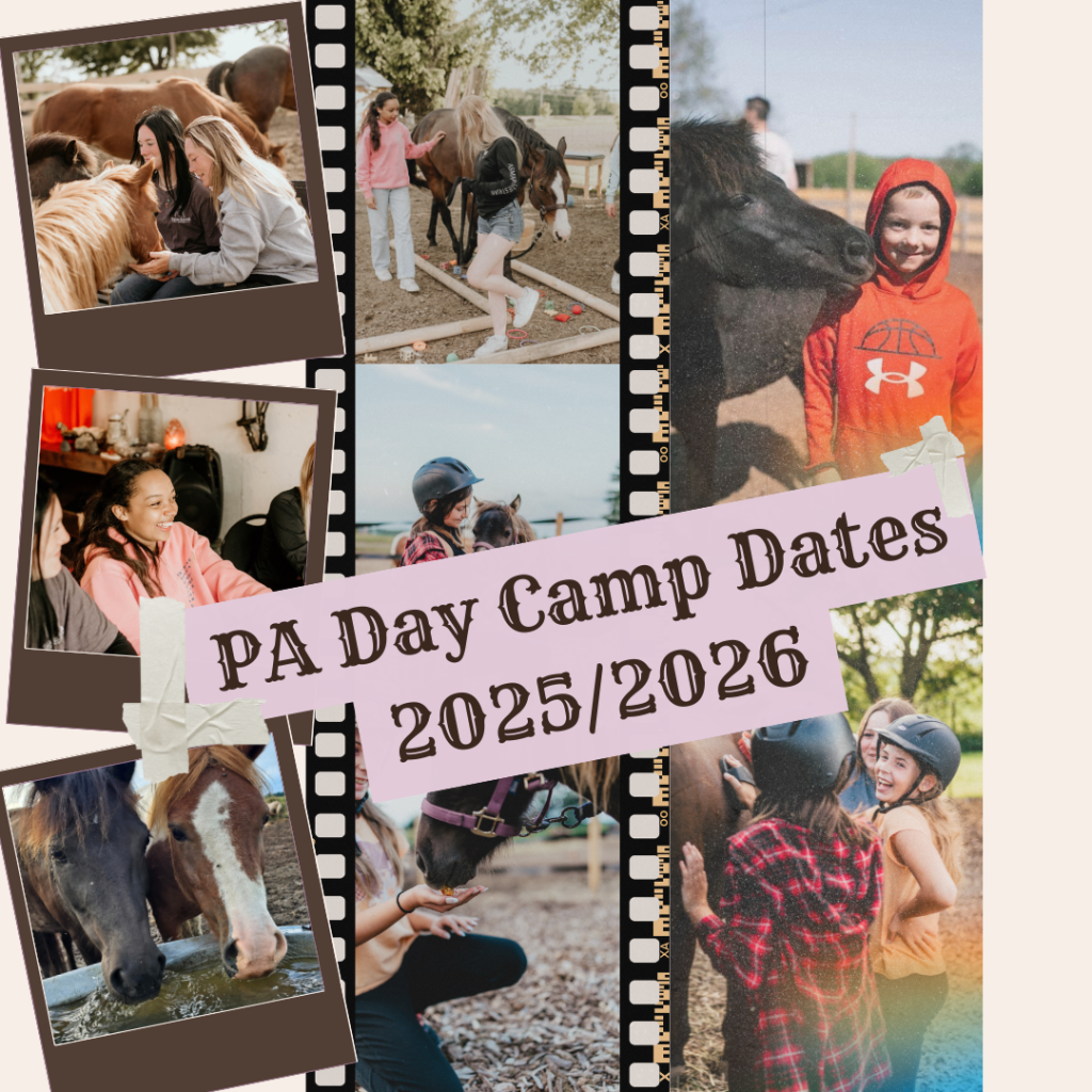 PA Day Camp